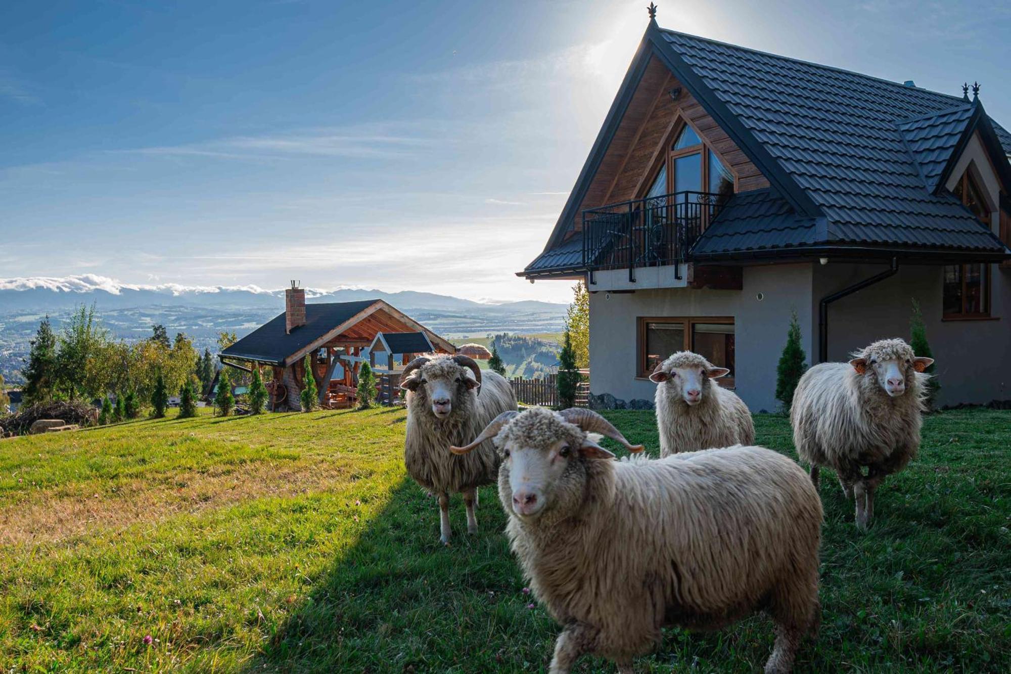 Vila Lesne Zacisze Nowy Targ Exteriér fotografie